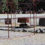 IMG_7526 (May 28, 2024)